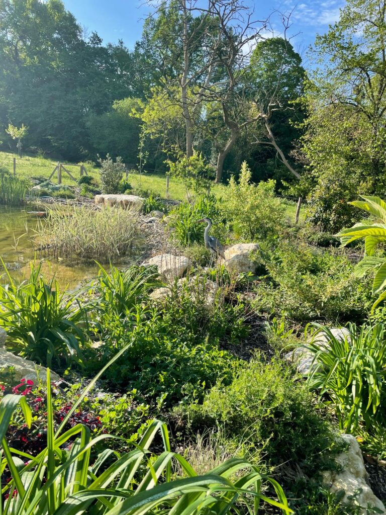 jardin résilient