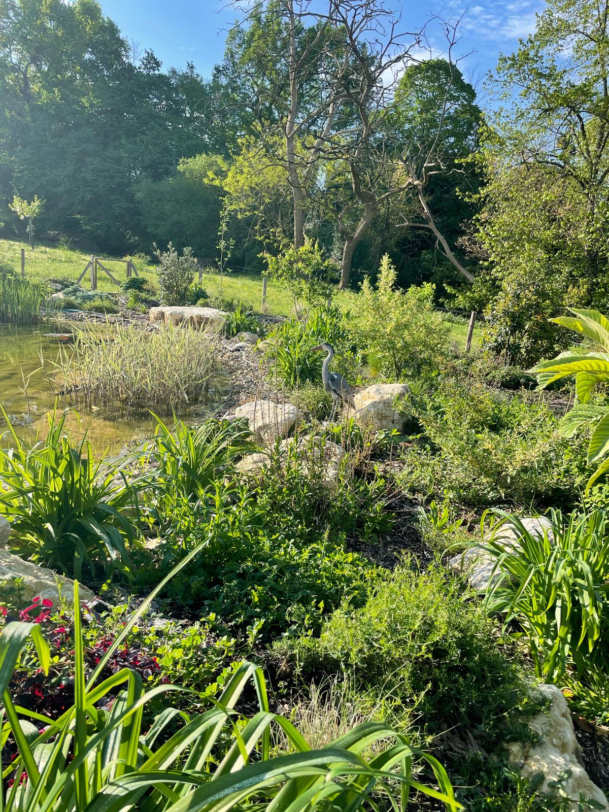 jardin résilient